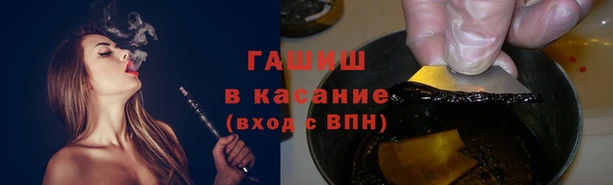 хмурый Бородино